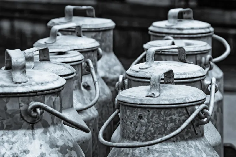 The White Death in Every Glass: How Raw Milk Terrorized American Families for Generations