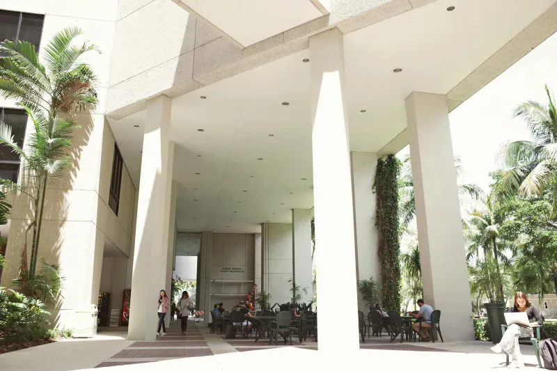 When College Was Actually Worth It: The Death of Higher Education as a Middle-Class Guarantee